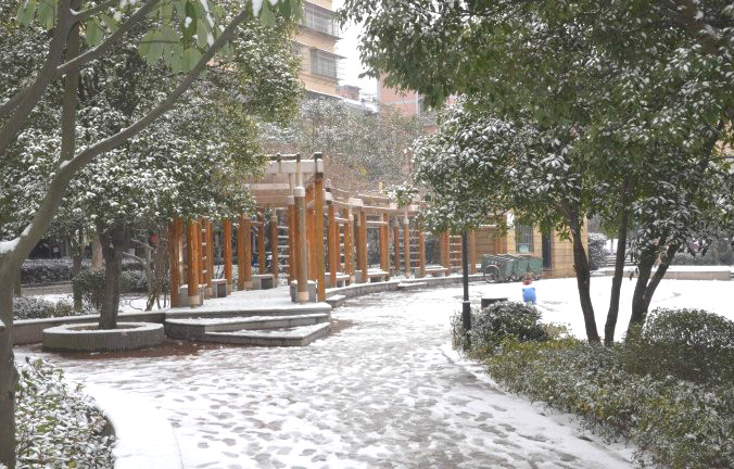 初雪逢周末，多個(gè)項(xiàng)目及時(shí)展開清理工作