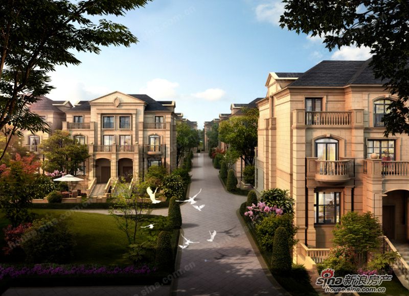 專業(yè)凝聚力量——江陰市住建局領導蒞臨清楓和院